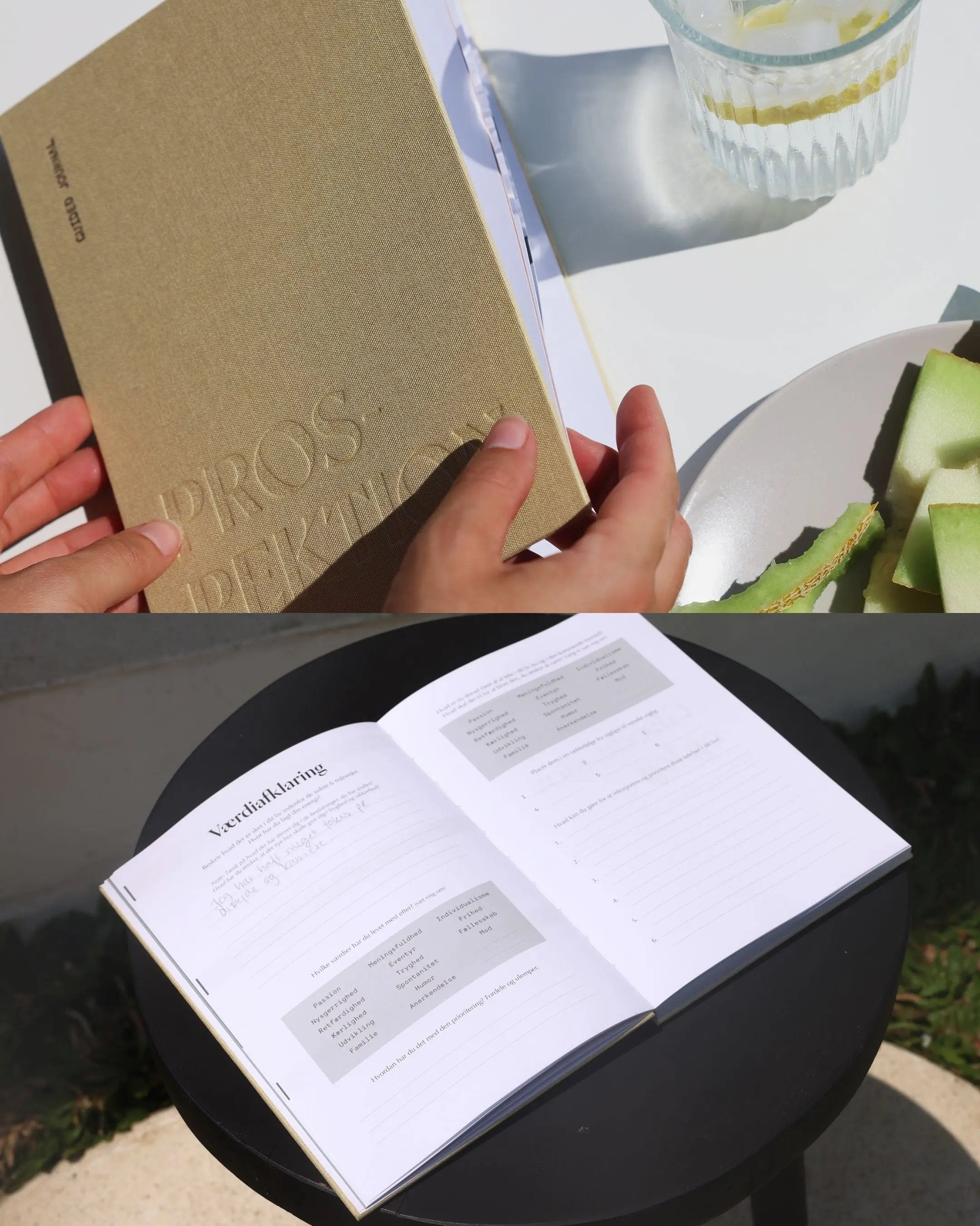 Manifesteringsdagbog anode studio