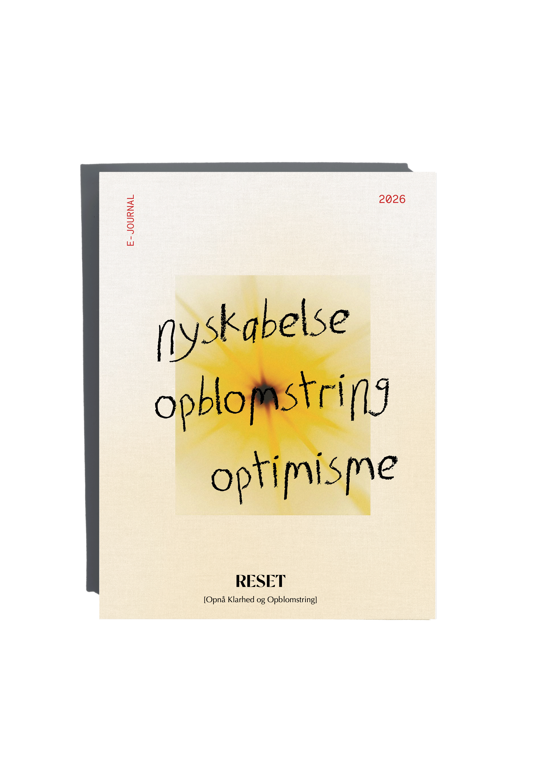 RESET: OPNÅ KLARHED
